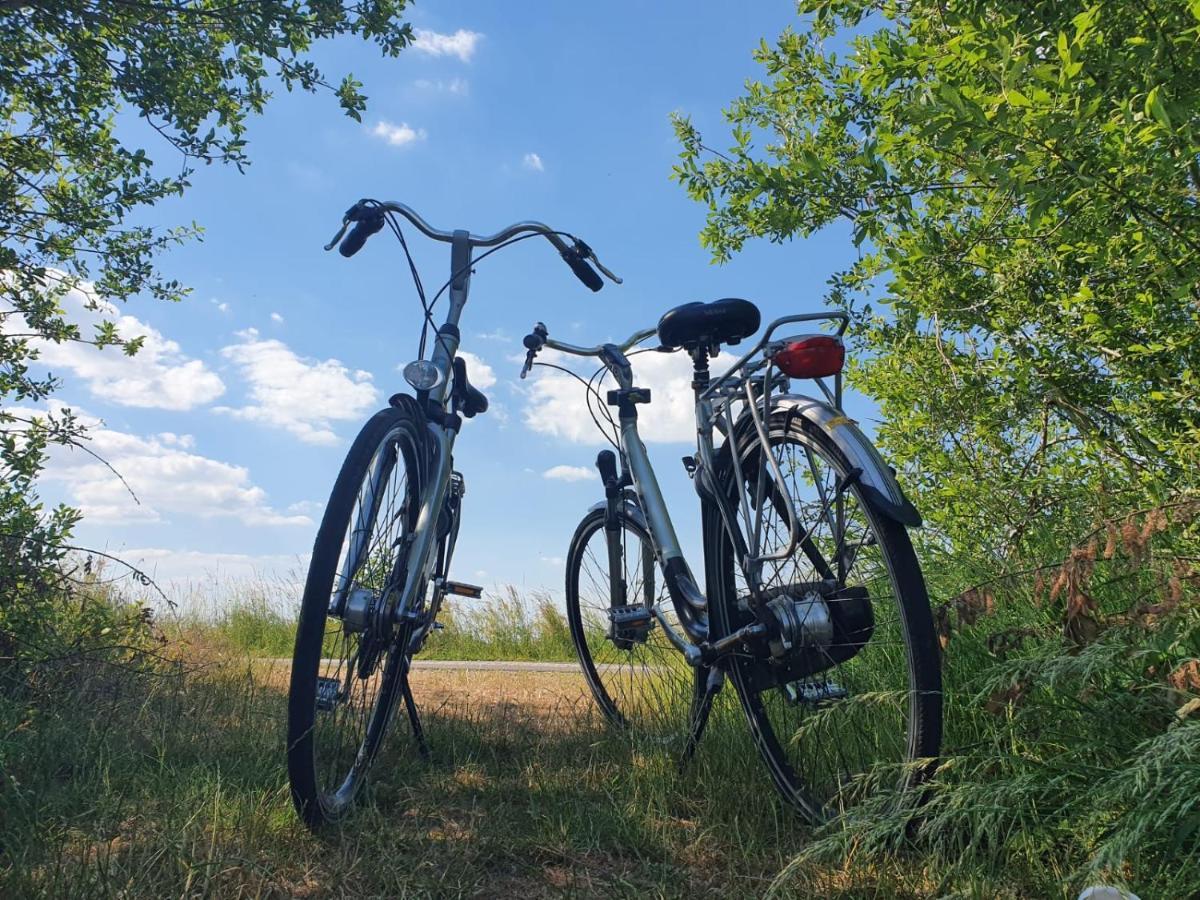 B&B De Donk Brandwijk Esterno foto